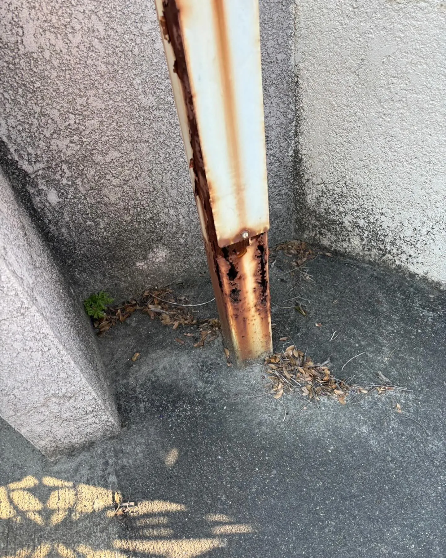 街灯撤去の現場調査を行いました!